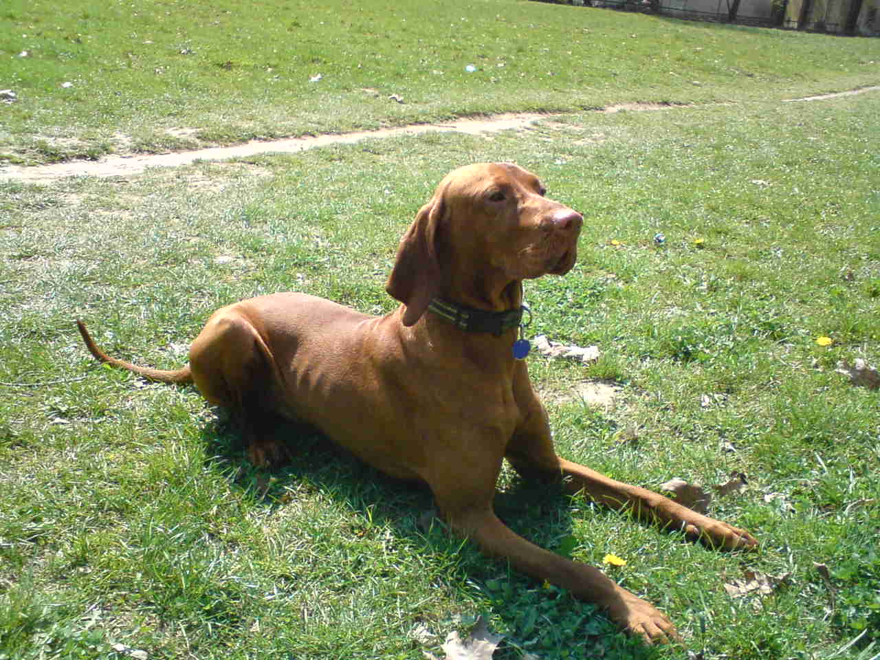 DSC00178.JPG